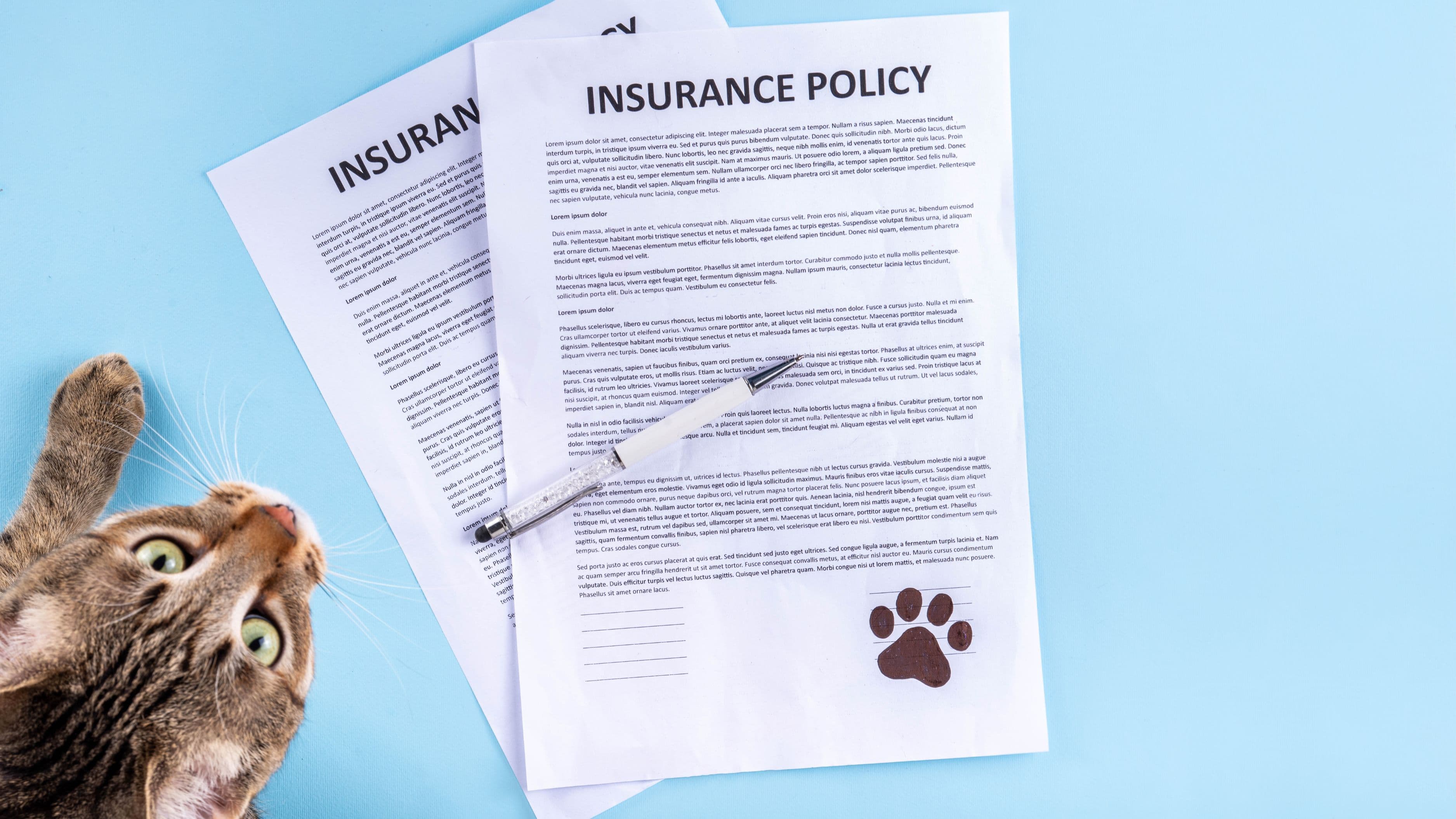 Top 10 Pet Insurance Plans: Which One Actually Covers What Your Furry Friend Needs?