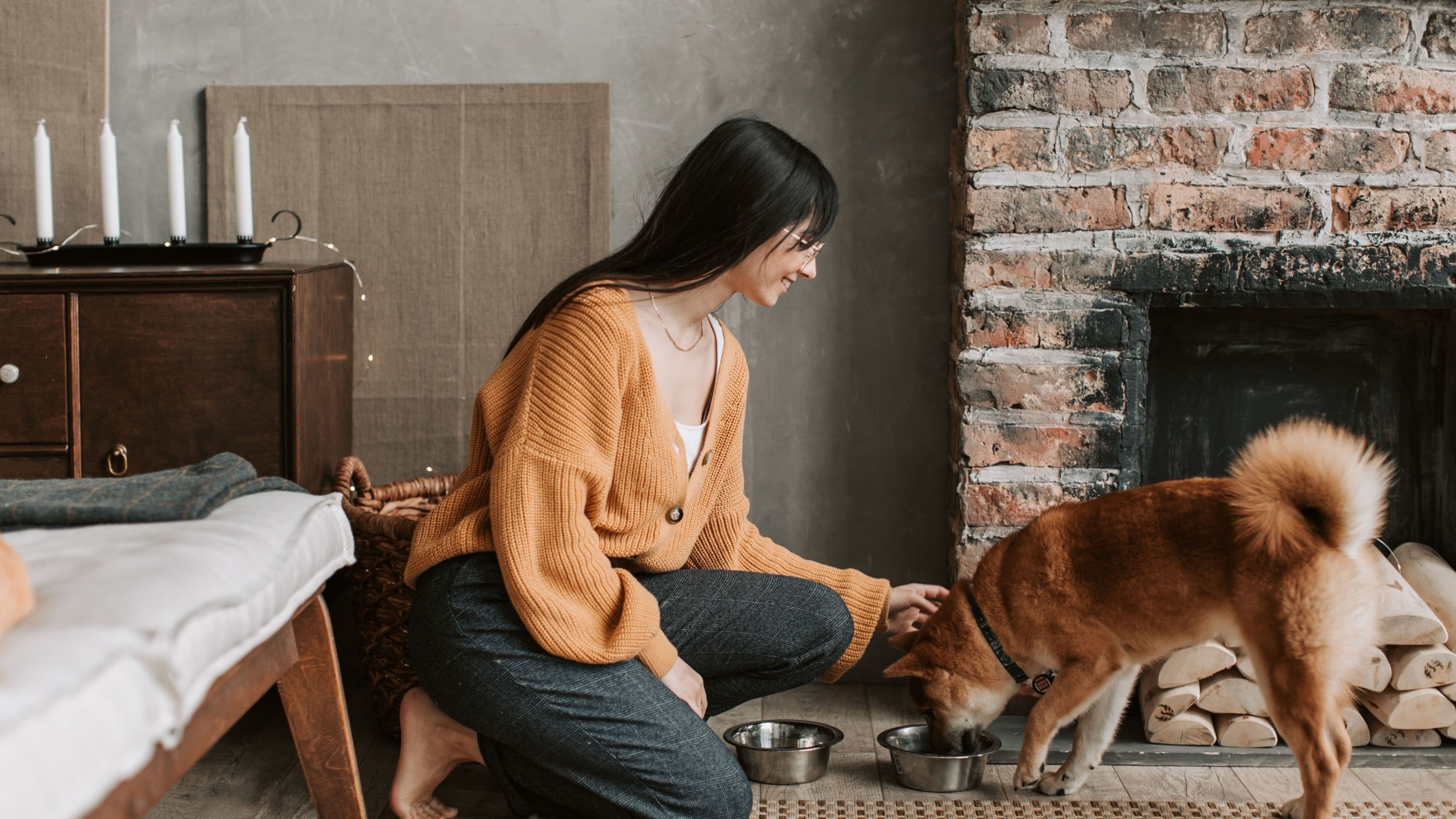 What Are the Top 10 Ways to Pet-Proof Your Home Without Sacrificing Style?
