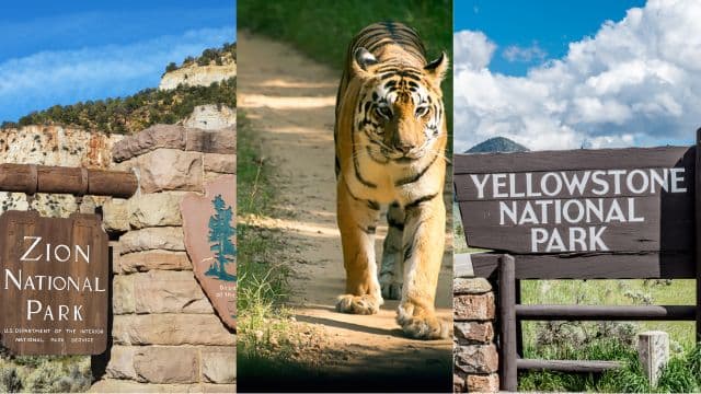 What Are the Top 10 Us National Parks for Memorial Day Getaways?